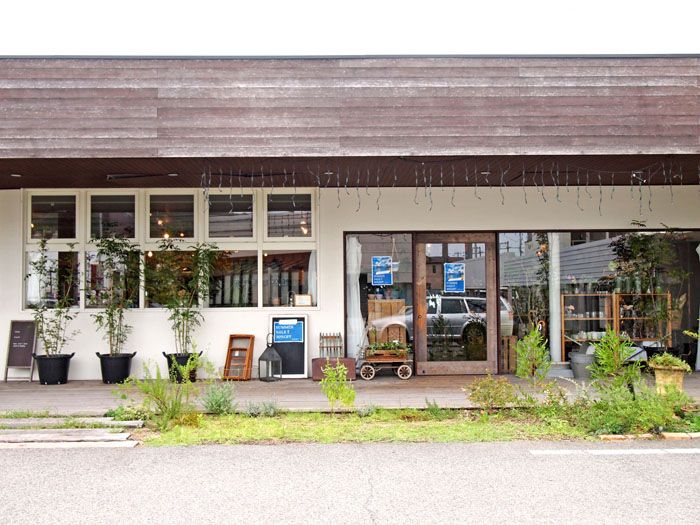 lapure syoumen wakayamashi