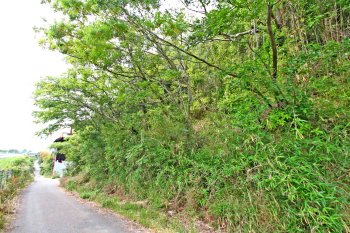 外観写真 物件：10468