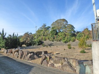 外観写真 物件：11038